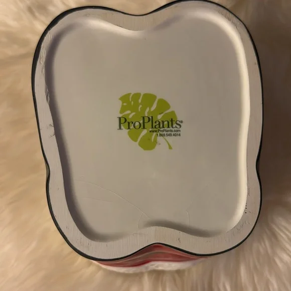 Santa boots pottery vase - Picture 3 of 4